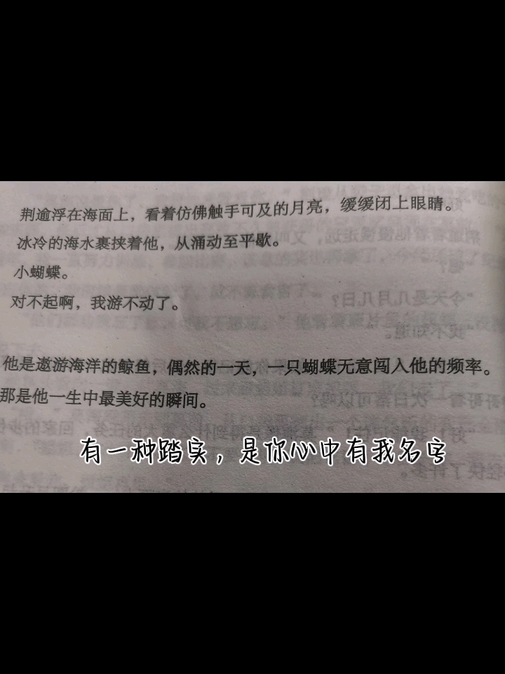 鲸鱼&蝴蝶