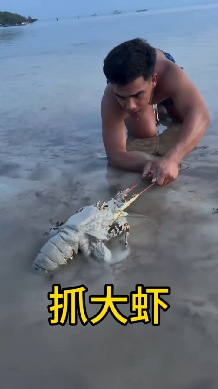 抓大虾