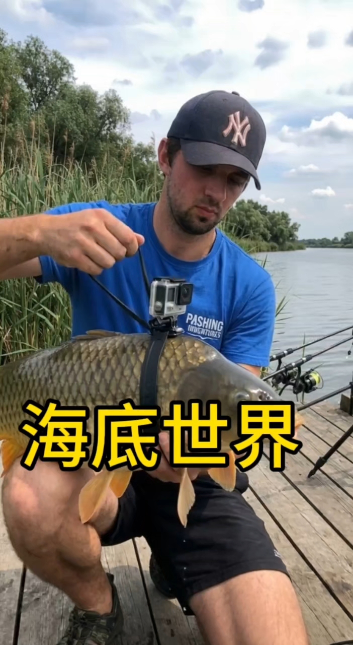 海底世界