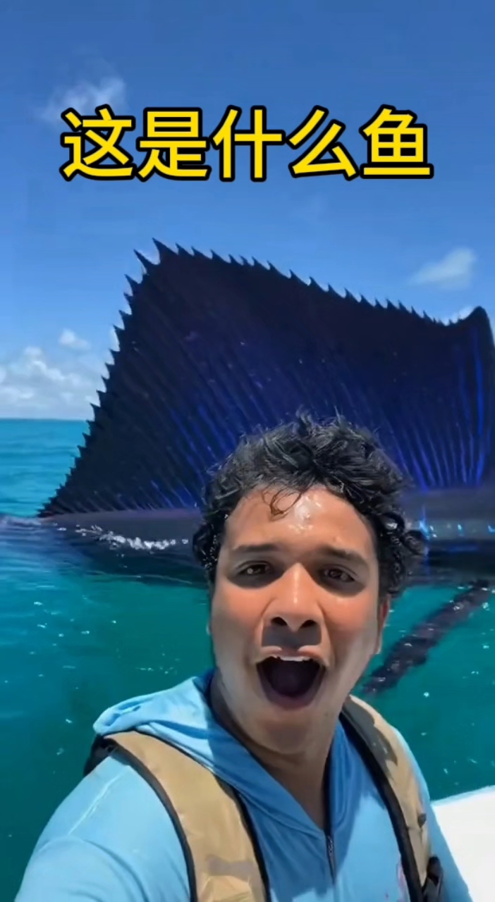 这是什么鱼