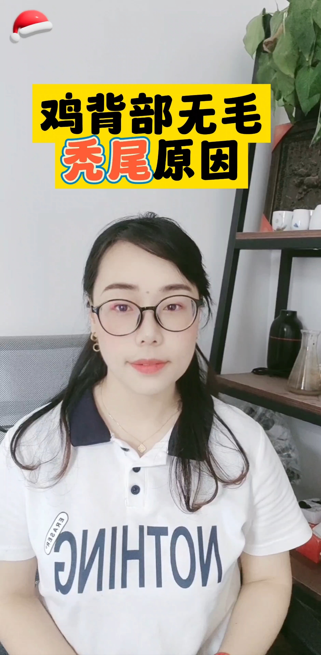 鸡背部无毛,秃尾