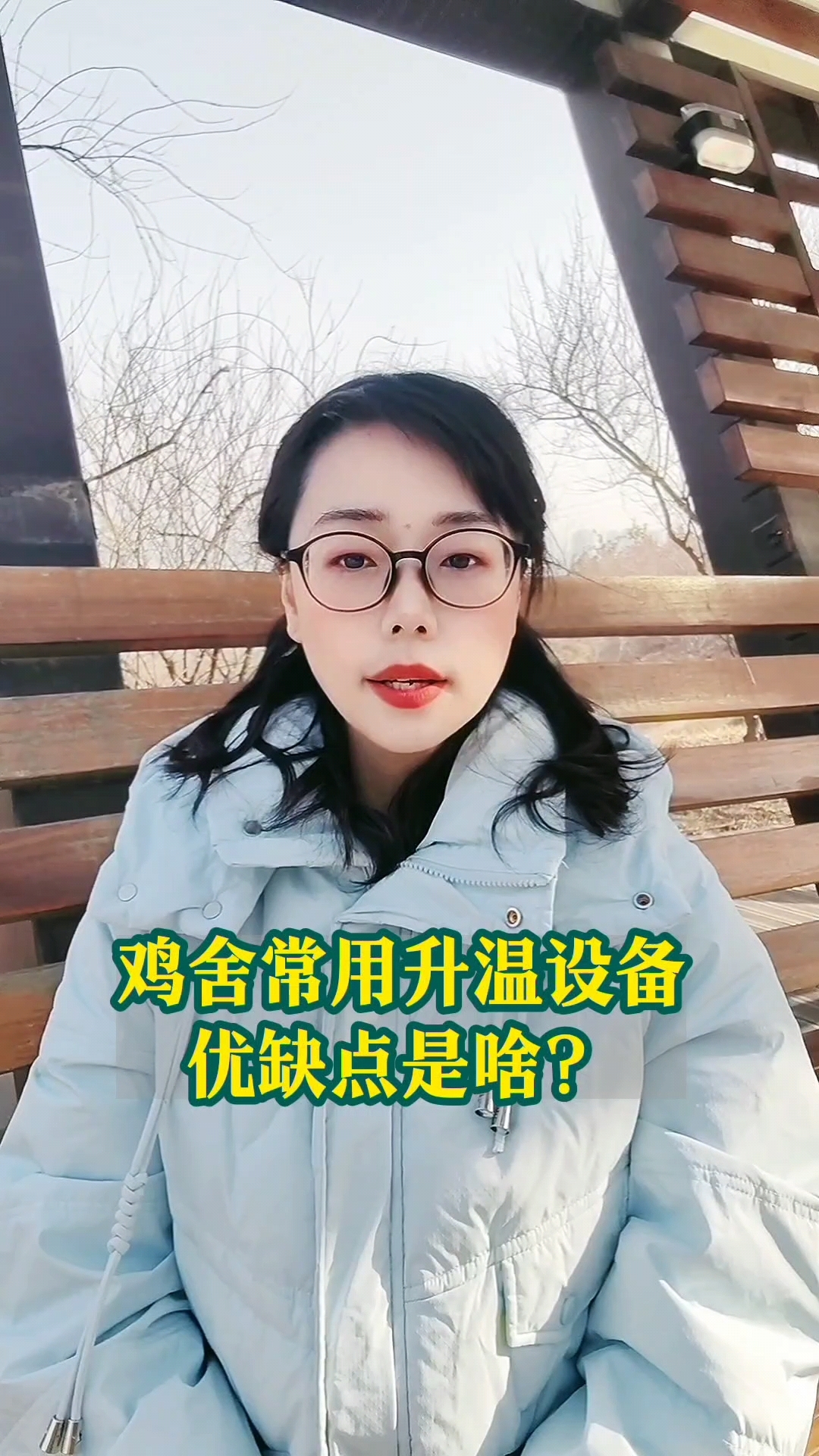 鸡舍常用升温设备优缺点是啥?