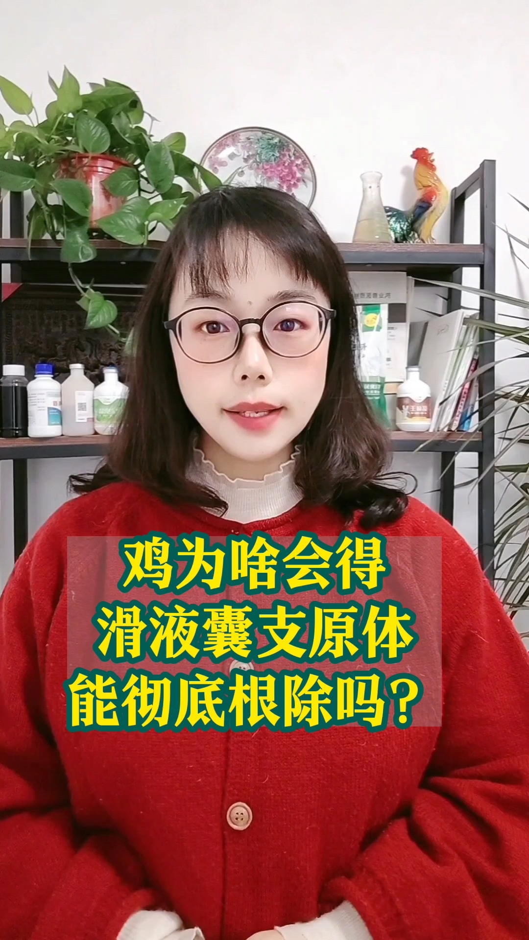 鸡为什么会有滑液囊支原体,能彻底根除吗?