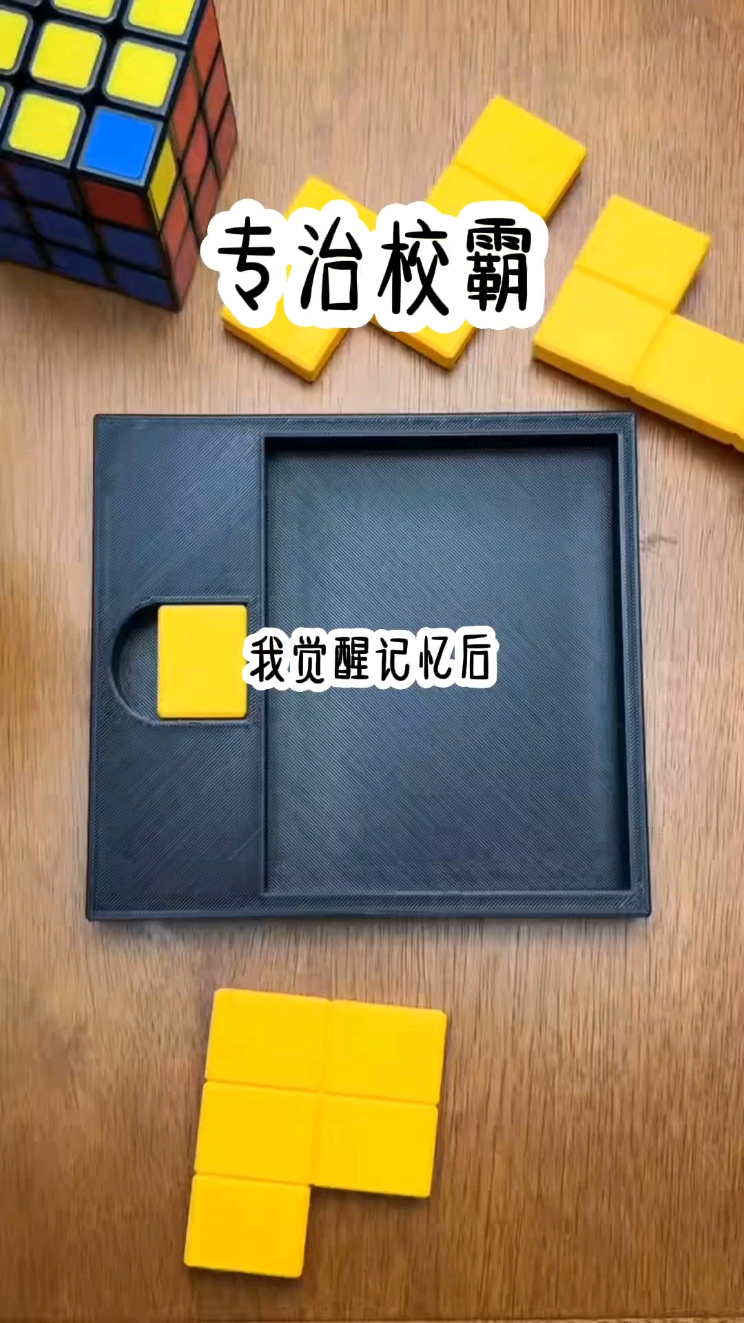 校霸是我弟