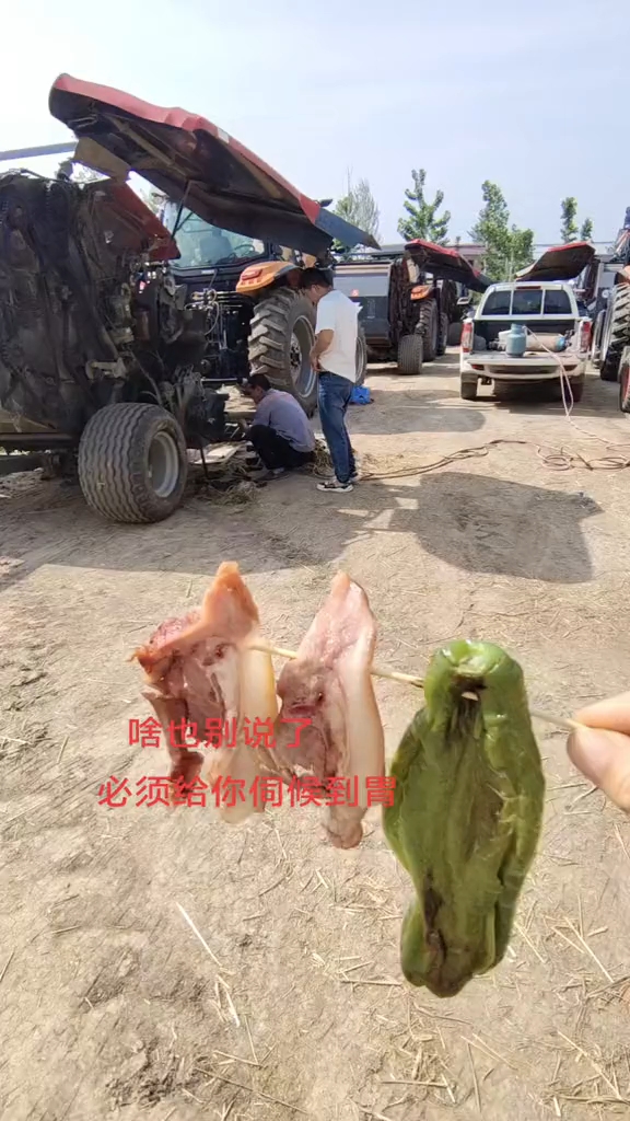 现卤的五香猪头肉 配青椒,这搭配怎么样?