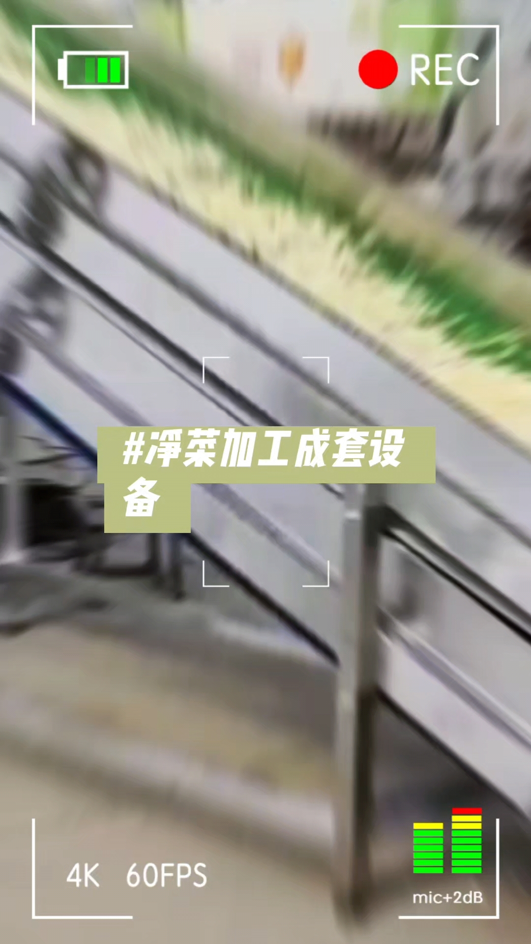 净菜加工成套设备,叶菜类蔬菜清洗甩干流水线