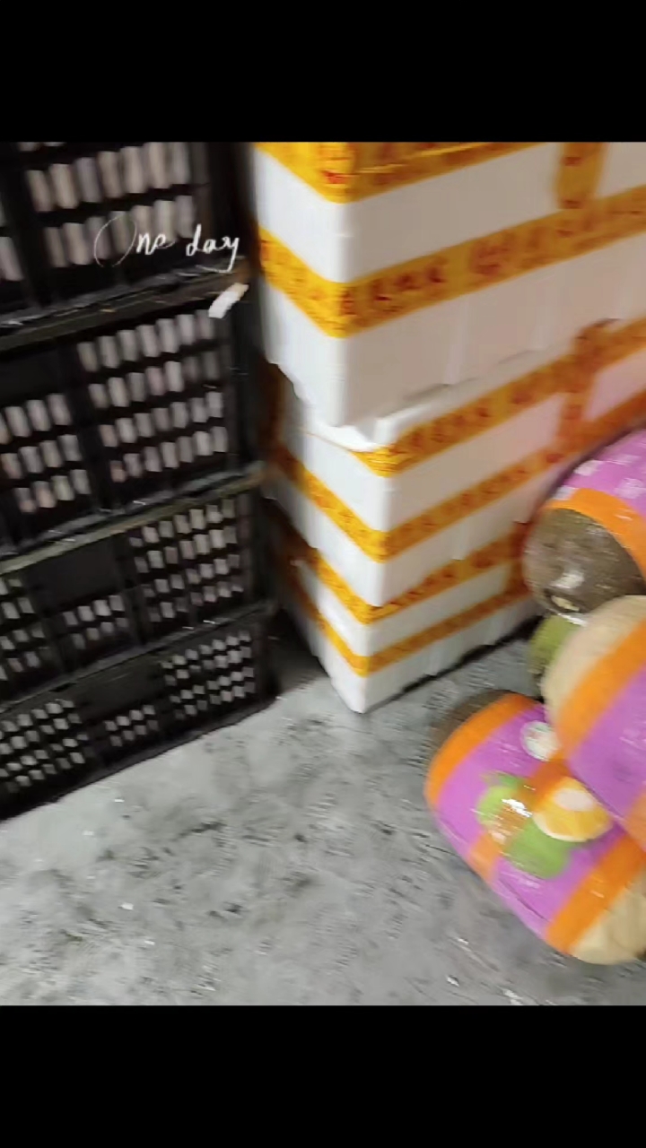 分享视频