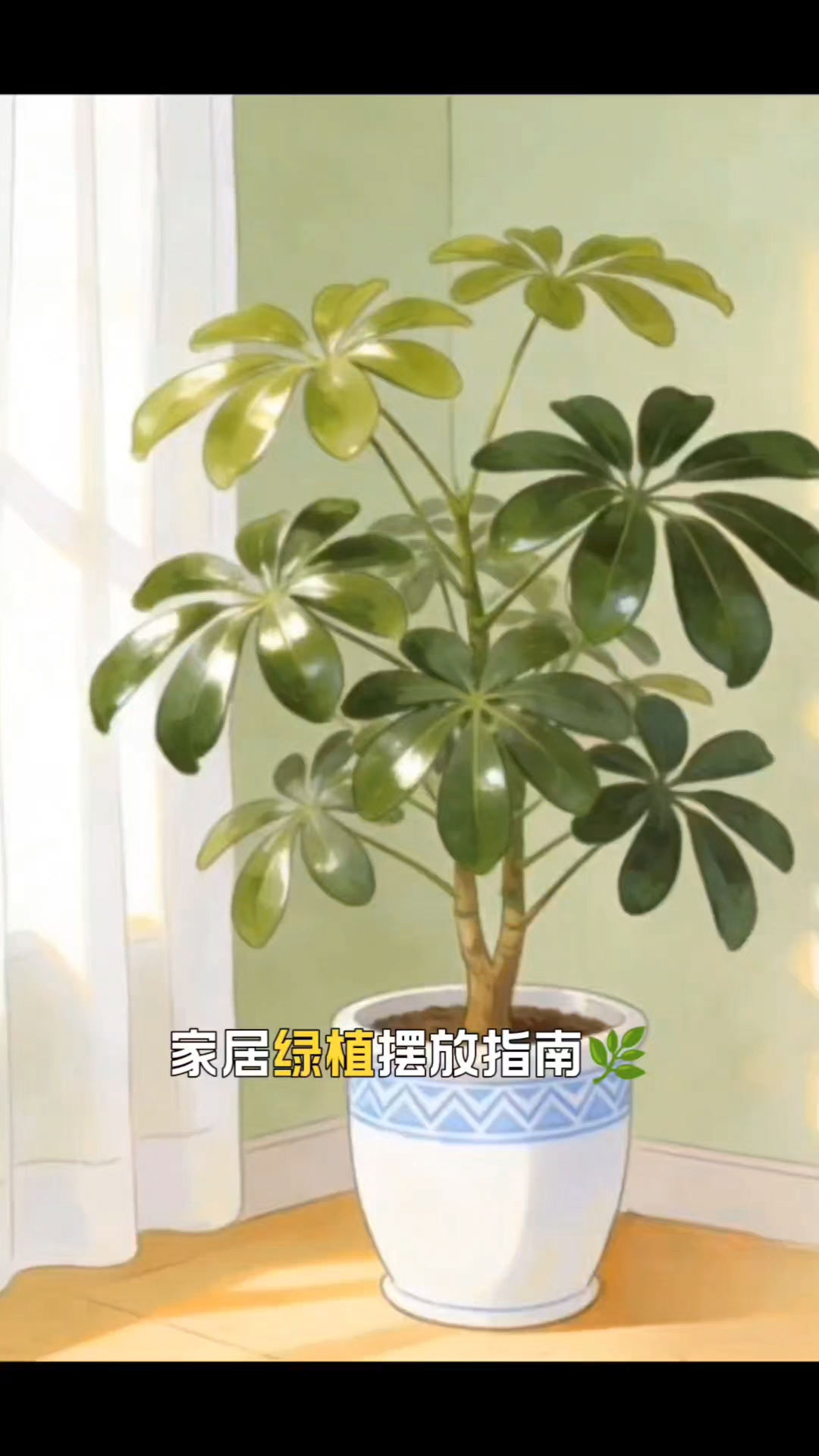 厂愿大家天天开心写每天都有好心情