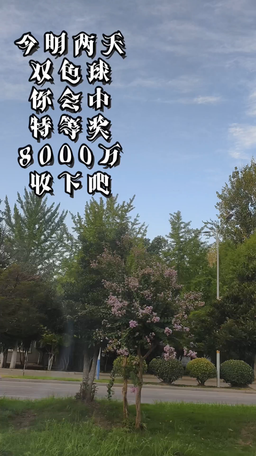 今明两天 双色球 你会中 特等奖 收下吧