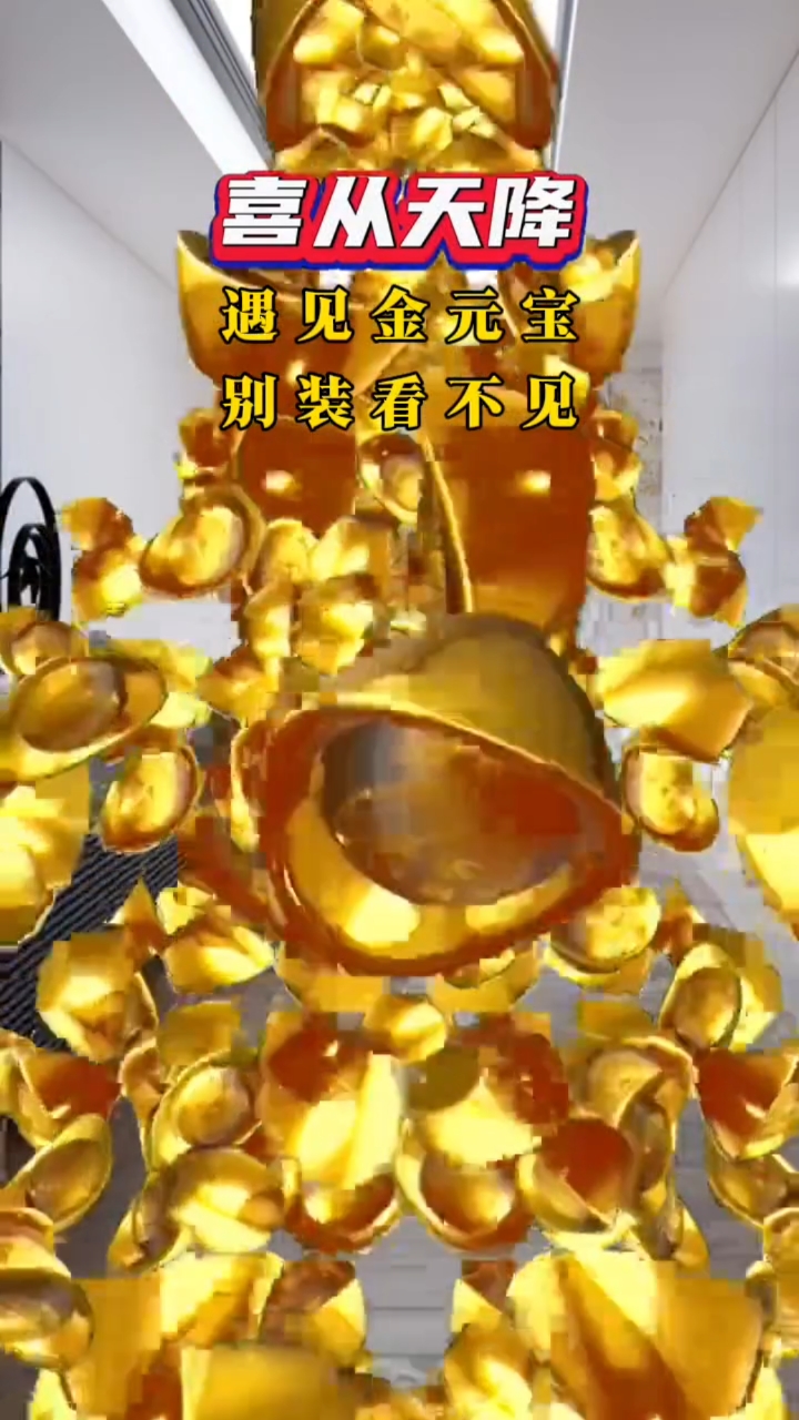 喜从天降 黄金万两 遇见金元宝 别装看不见 接住