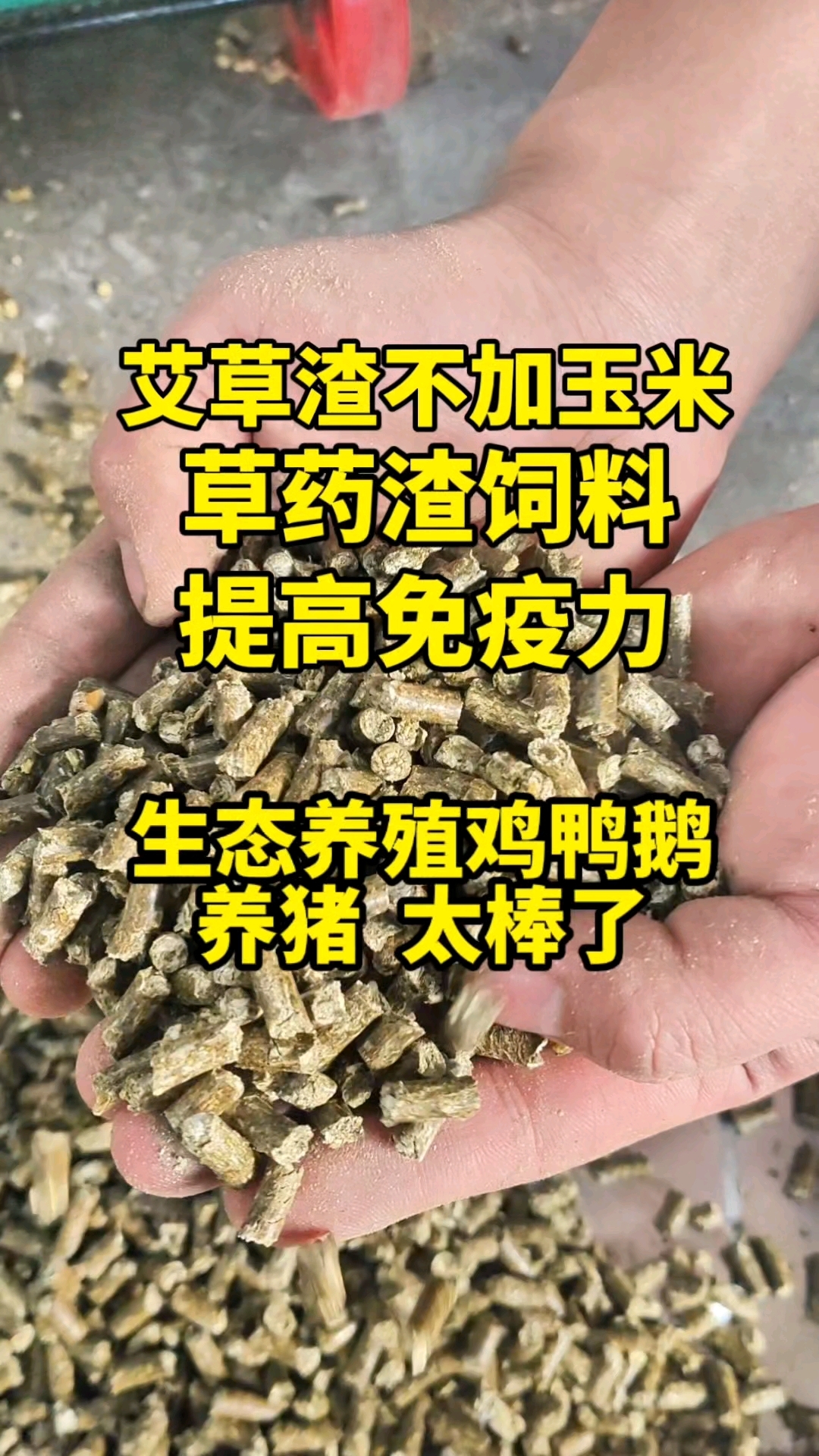 草药渣制作饲料颗粒?养猪养殖鸡鸭鹅提高免疫力,艾草渣高效利用