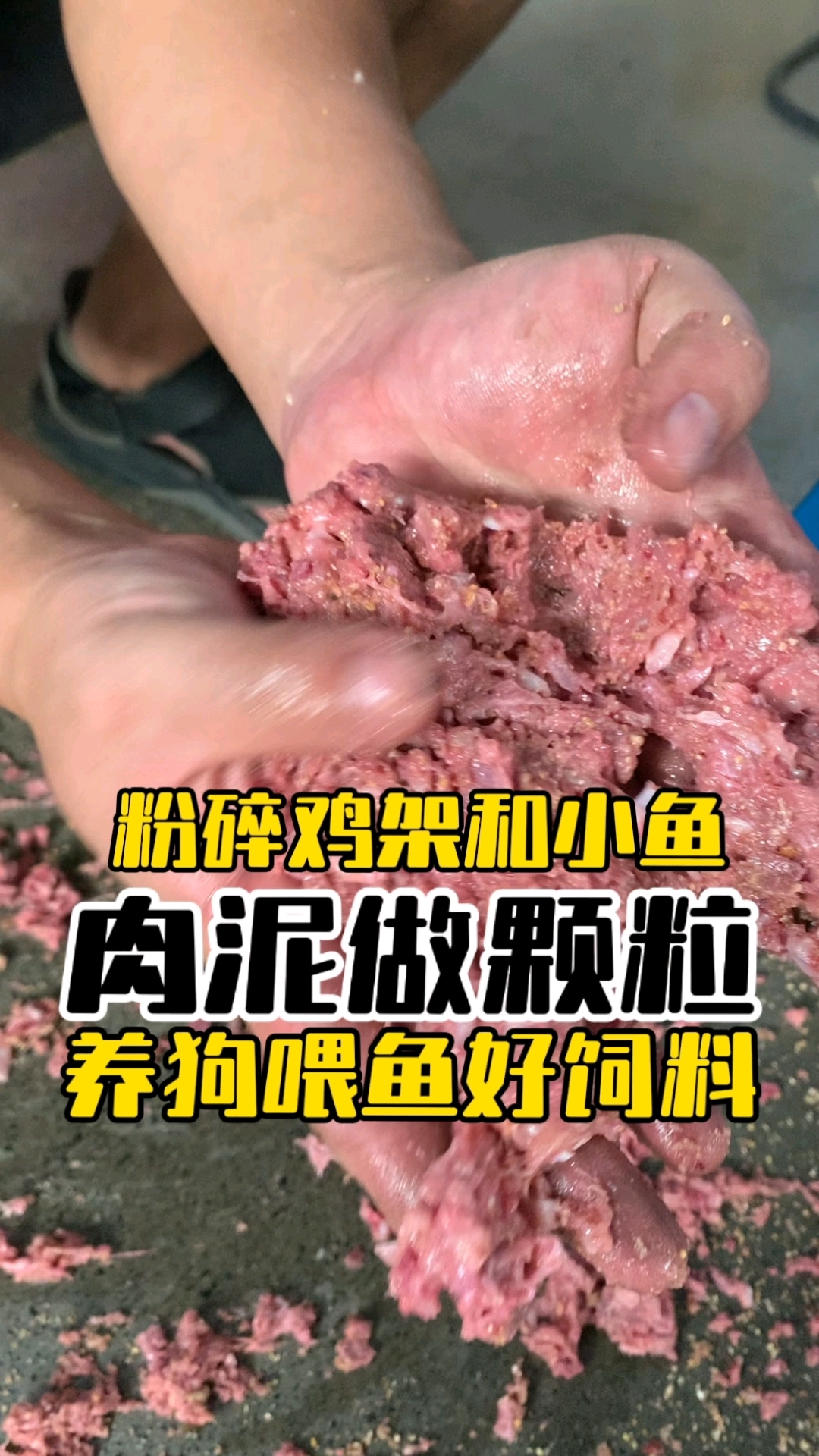 粉碎鸡架肉泥和小鱼，制作鱼饲料和狗粮，方法简单，自制肉泥饲料