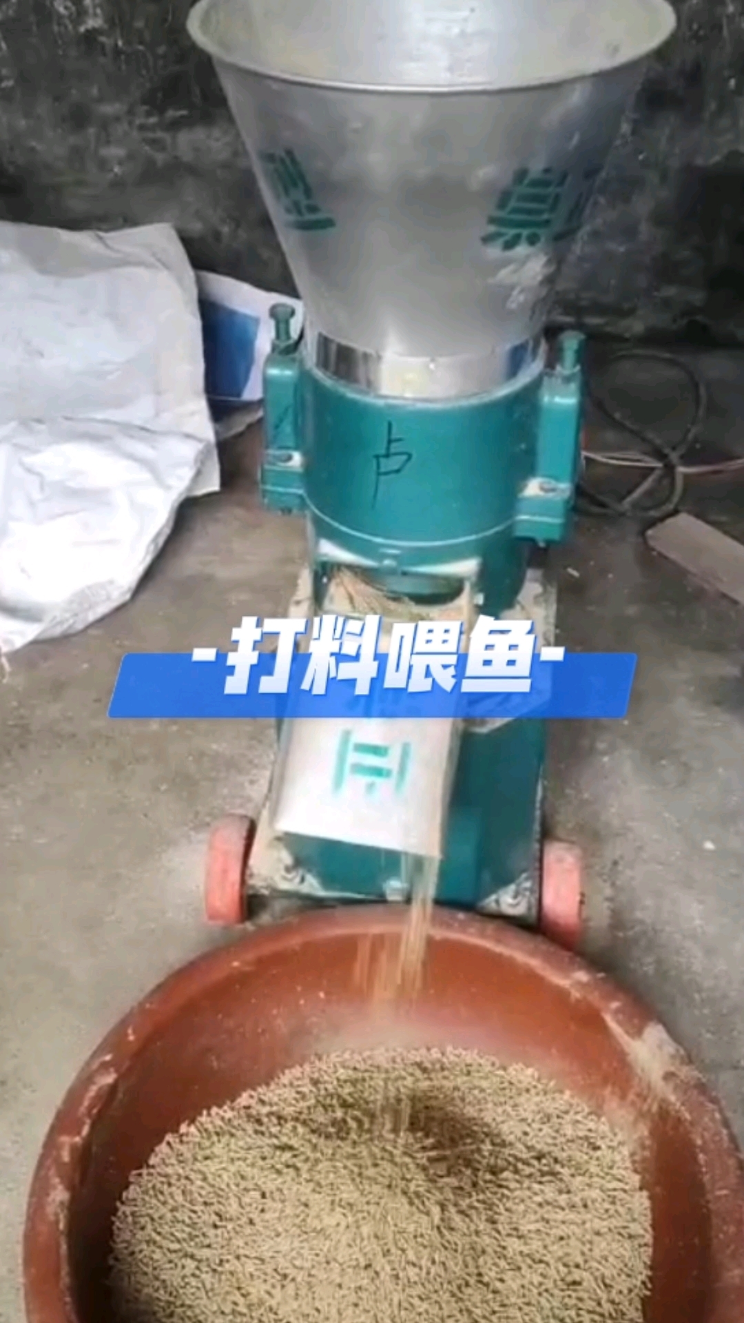 做起来喂鱼了,比买的饲料便宜太多了