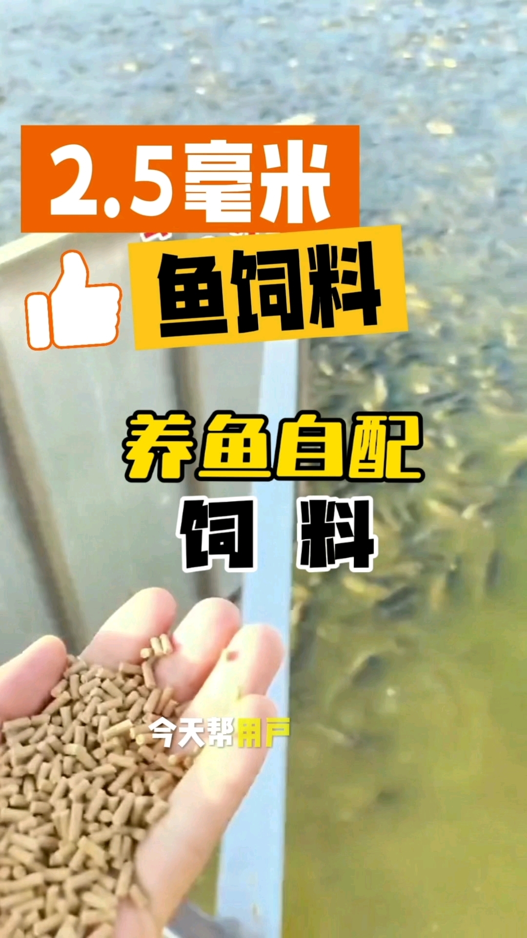 2.5毫米鱼饲料颗粒，养鱼不挣钱就要自配饲料