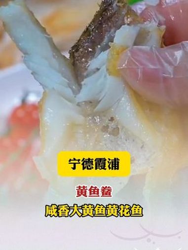 这种霞浦沿海最爱的黄鱼鲞你吃过吗 黄鱼鲞 宁德大黄鱼 黄花鱼 海鲜水产 肉质鲜嫩