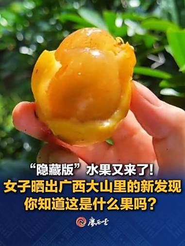 “隐藏版”水果又来了!女子晒出广西大山里的新发现。网友:又甜又黏!吃一顿牙齿黄3天!你知道
