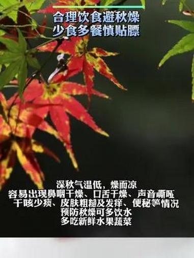 合理饮食避秋燥,少食多餐慎贴膘