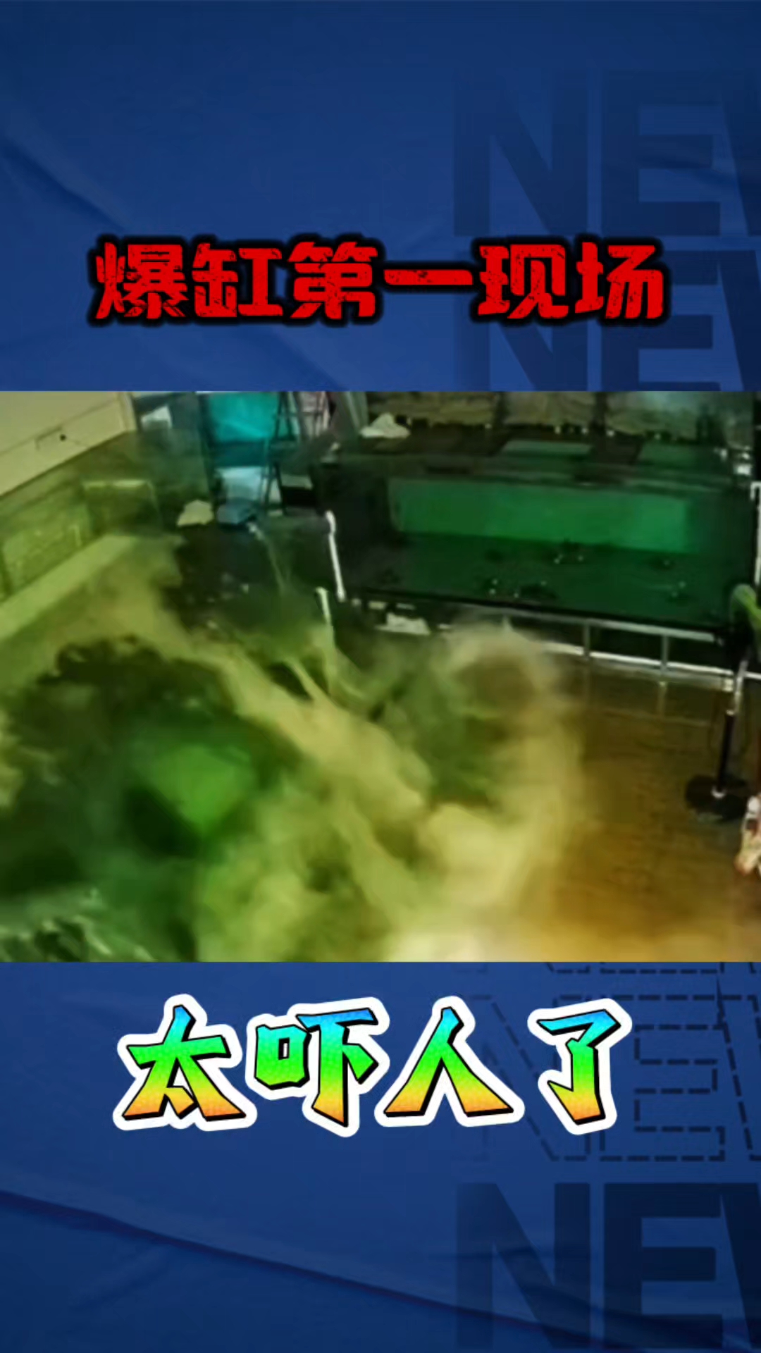 盘点鱼缸爆缸名场面