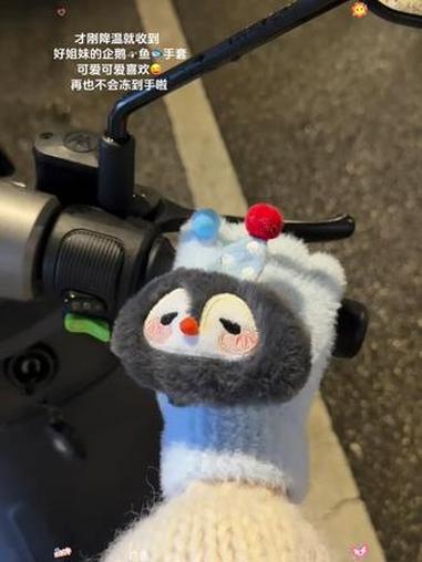 好朋友说下次出去一起带这款毛绒的企鹅鱼手套这也太可以了叭!手套 也太可爱了吧 毛绒手套 女