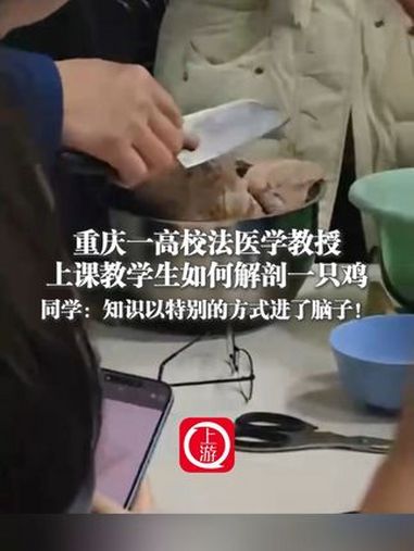 3月20日,重庆,重庆一高校法医学教授上课教学生如何解剖一只鸡 同学:知识以特别的方式进了