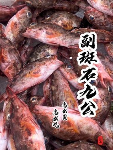 好好吃饭大赛，同学们，石九公你们都是怎么吃的呢？我买的贵吗 内容启发搜索 好好吃饭大赛 菜