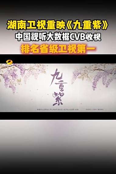 湖南卫视重映九重紫收视第一 湖南卫视下午档重映《九重紫》在中国视听大数据(CVB)表现优异