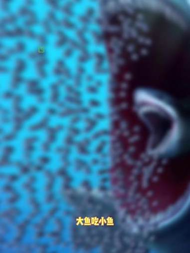 大鱼吃小鱼玩错了 召唤神鲲万宁大招版