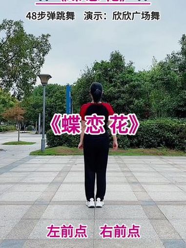 蝶恋花 广场舞 简单好看又好学