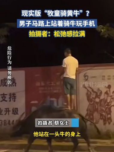 现实版“牧童骑黄牛”?男子马路上站着骑牛玩手机。拍摄者:松驰感拉满