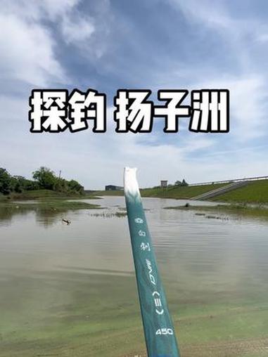 「探钓 扬子洲」5月4日 晴天 小杂鱼很多,用蚯蚓钓。一个小小的闸口,鱼的品种还真丰富!#