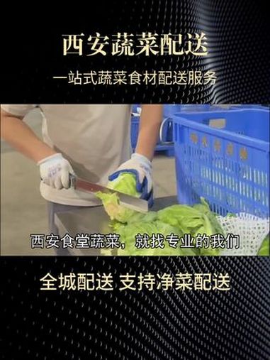 我们提供定制化服务,按需,减少浪费。陕西西安蔬菜配送排名 蔬菜配送公司价格 食堂蔬菜配送收