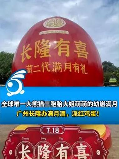 熊猫宝宝的满月酒你吃过吗?广州长隆给“萌二代”办满月酒、派红鸡蛋