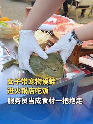 宠物牛蛙火锅店惊魂记，女子带宠物爱蛙进火锅店吃饭，服务员当成食材一把抱走，直奔后厨。蛙：要