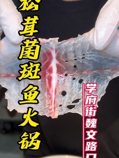 特色美食分享 斑鱼火锅 万物皆可涮火锅 同城好店推荐 附近鱼火锅