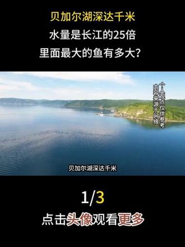 贝加尔湖深达千米，水量是长江的25倍，里面最大的鱼有多大？