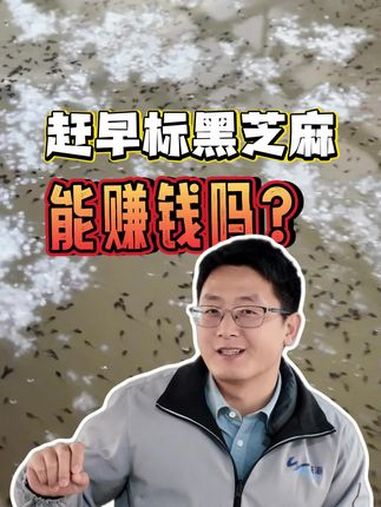 生鱼黑芝麻孵化已经开始,今年你还养生鱼吗?生鱼 黑鱼 乐开花鱼苗料 @渔民乐水产动保