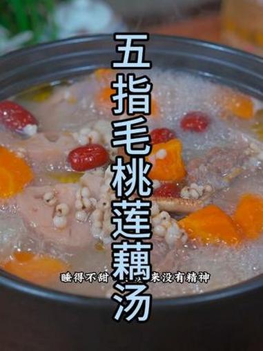 五指毛桃莲藕茯苓汤#五指毛桃