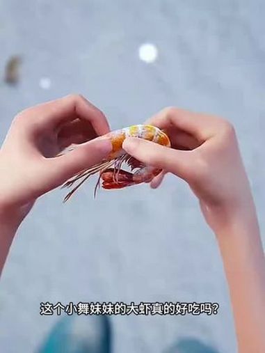 解压小游戏 娃娃头像模拟器入口 毛线发饰编织 蛋糕收纳盒钩织教程 公鸡钩织教程