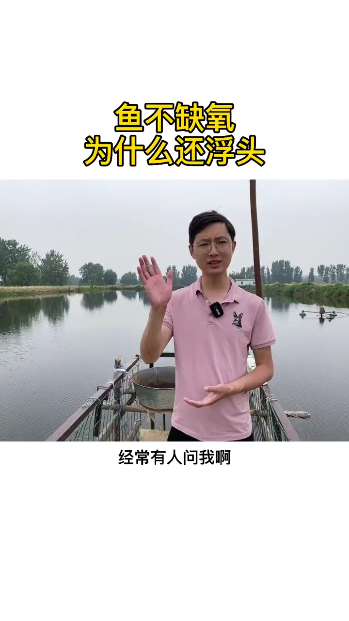 池塘不缺氧,为什么还会浮头?找对原因最重要,水产养殖技术分享