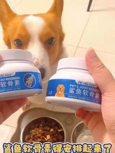 春节也能正常发货的派迪诺氨糖软骨素,过年也不要忘记保护毛孩子的关节健康哦 派迪诺氨糖软骨素