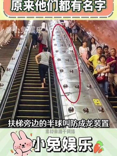 他们的名字还挺有意思的 内容过于真实 科普 成龙 披萨 雪糕筒