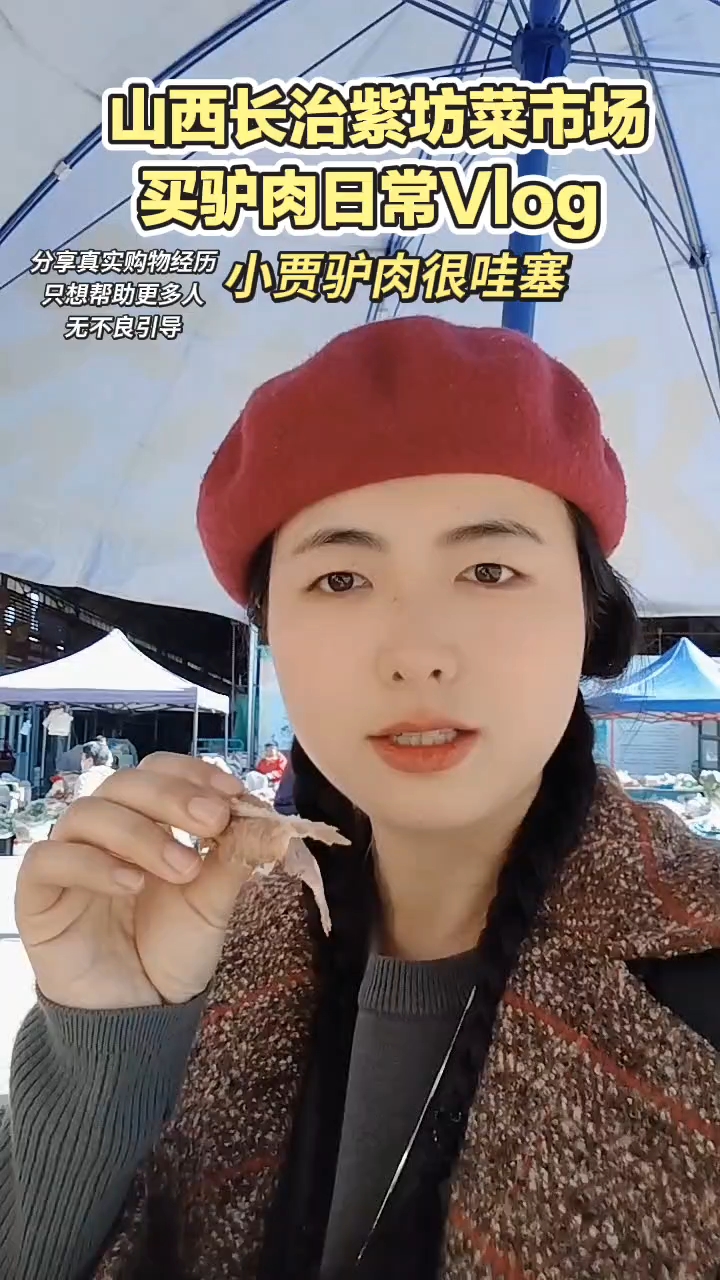 在山西长治紫坊菜市场买驴肉日常Vlog.第一次吃马肠！没想到还真好吃！