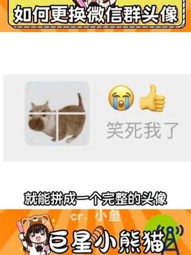 再也不怕消息发错群了 微信 朋友 头像 万万没想到 聊天记录