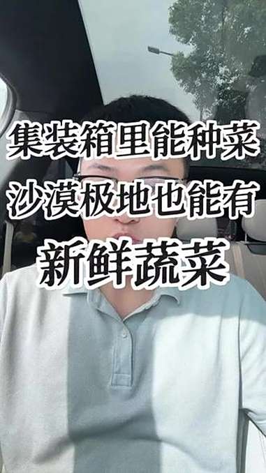 中国“蔬菜集装箱”风靡海外，单箱产量堪比两亩地，AI助力种植下几十天就能收一茬，即便在沙漠