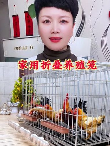养鸡笼子家用 鸡笼子家用室外特大号防雨家用室内农村折叠自动清粪铁丝网养殖笼 鸡笼子结实耐用