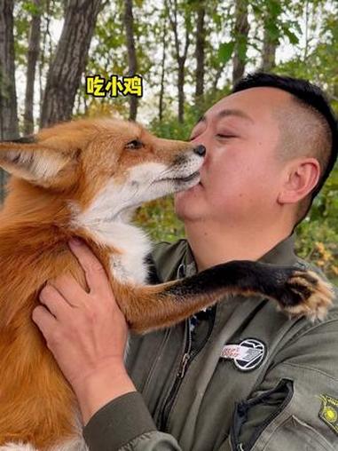 这狐狸精怎么总想吃小鸡呢?海龙家的白狐 海龙家的大米 穿搭 真实生活分享计划 随时随地标记