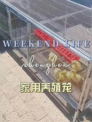 养殖 养鸡笼 好物推荐