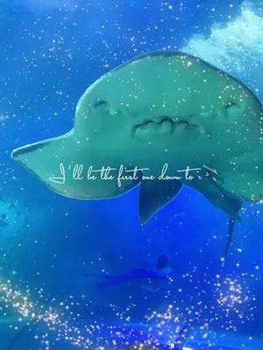 青岛旅游攻略 青岛海底世界的端午节优惠门票,海洋馆打卡 亲子游玩好去处 旅行推荐官 青岛旅