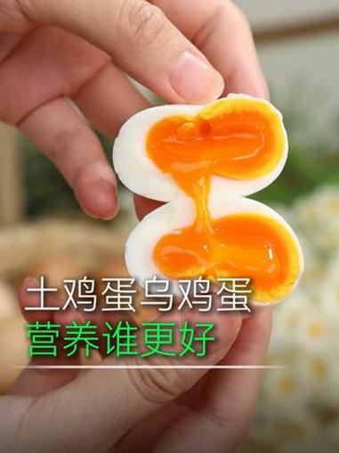 乌鸡蛋土鸡蛋营养谁更高？可别给孩子买错鸡蛋！关键要看这一点 #鸡蛋 #营养早餐 #乌鸡蛋 