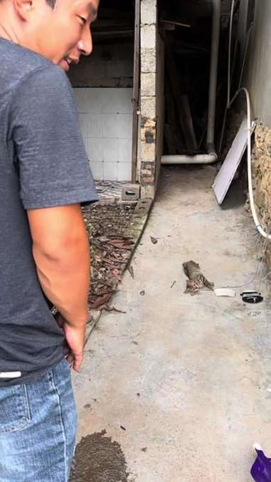 万峰湖钓鱼新伙伴 户外钓鱼